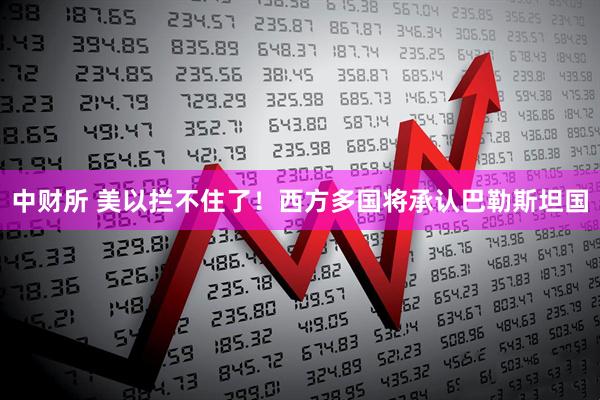 中财所 美以拦不住了！西方多国将承认巴勒斯坦国