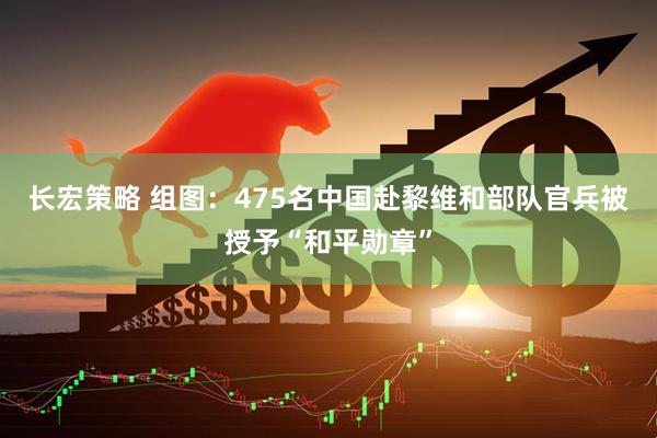 长宏策略 组图：475名中国赴黎维和部队官兵被授予“和平勋章”