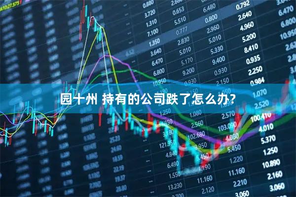 园十州 持有的公司跌了怎么办?